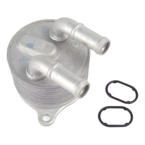 Resfriador Trocador De Calor Cambio Toro Renegade Mini X1