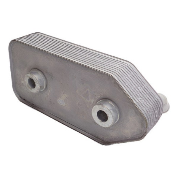 Radiador Resfriador De Oleo Cambio Golf A3 Bora 096409061g