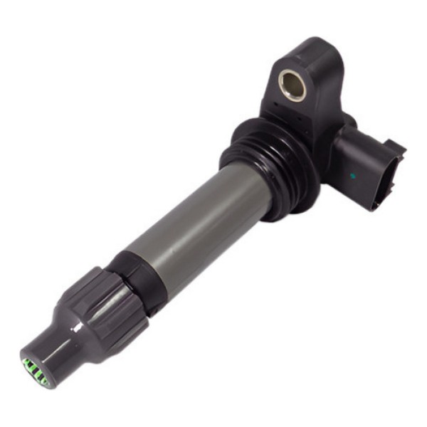 Bobina De Ignição Gm Omega 3.6 V6 2011 A 2018 - 12610626