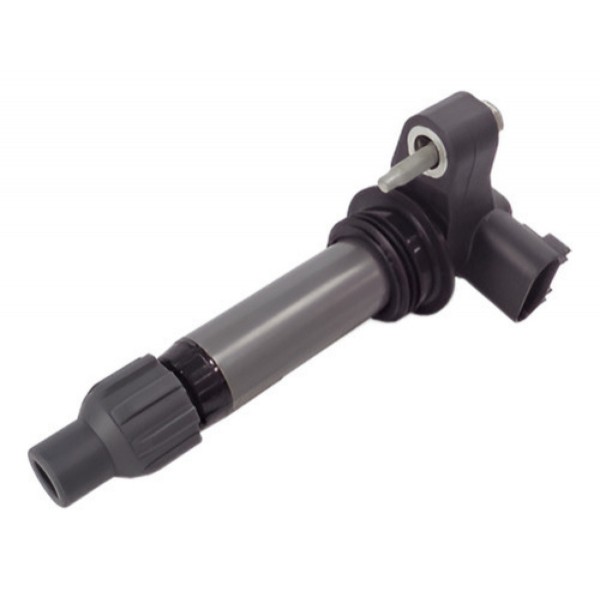 Bobina De Ignição Gm Omega 3.6 V6 2011 A 2018 - 12610626