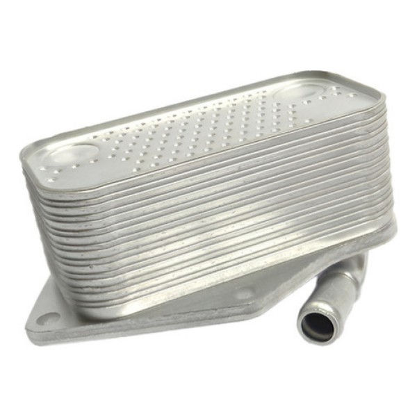 Radiador Resfriador De Oleo Jetta 2.5 20v E Variant 07 A 12