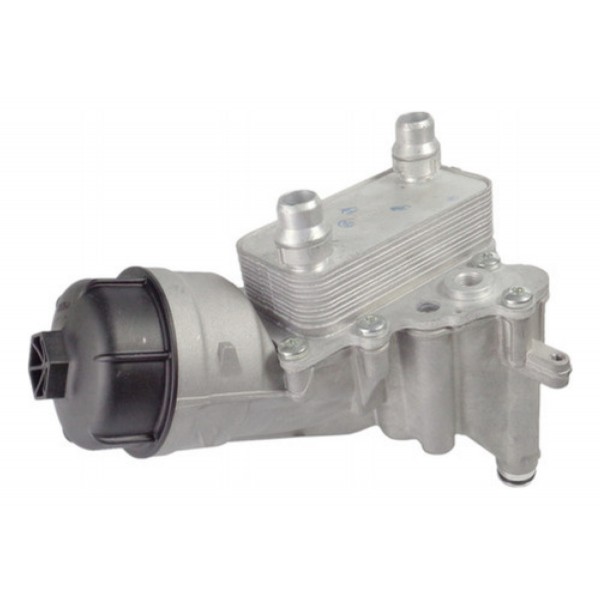 Radiador De Oleo Do Motor Toro Renegade 1.8 Flex 2016 A 2019