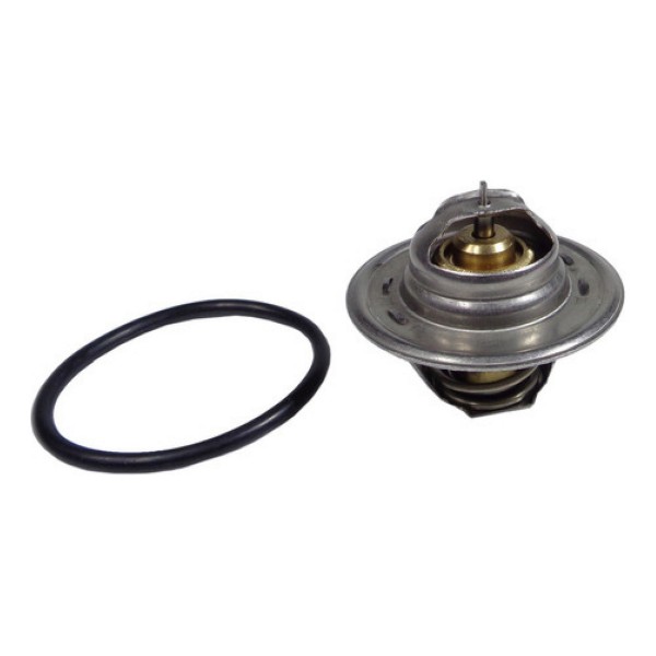 Válvula Termostática Golf Jetta Audi New Beetle 050121113c