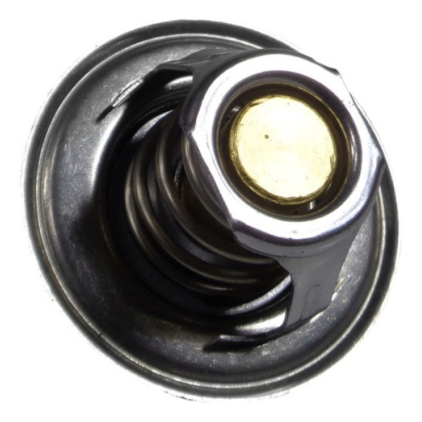 Válvula Termostática Audi A3 A4 Golf Bora Jetta 050121113c