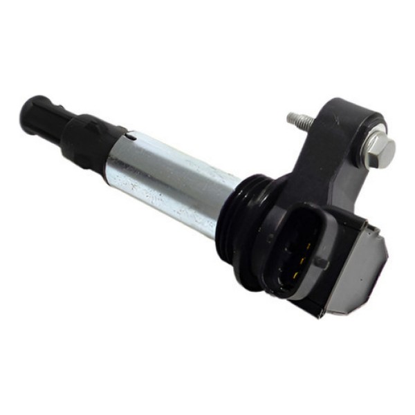 Bobina De Ignição Gm Captiva E Omega 3.6 V6 0221604104